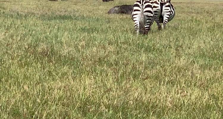 Simba Aventura Clásica Safari **Viaje con enfoque sostenible - Authentic Africa 2