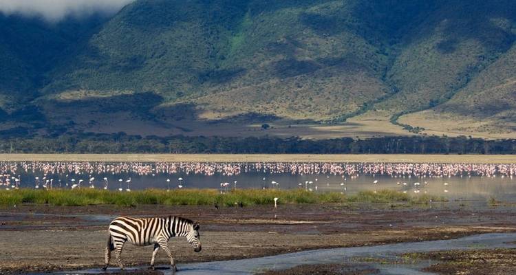 5 Days Tanzania Budget Safari - Pure African Expeditions 3