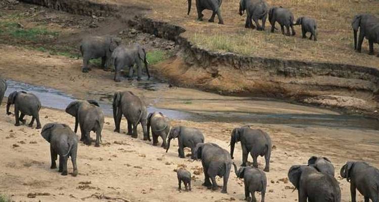 Safari culturel de 11 jours en Tanzanie* - Authentic Africa 2