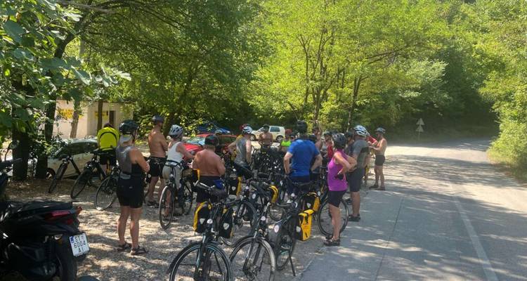 Un groupe de cyclistes faisant une pause sur une route forestière.
