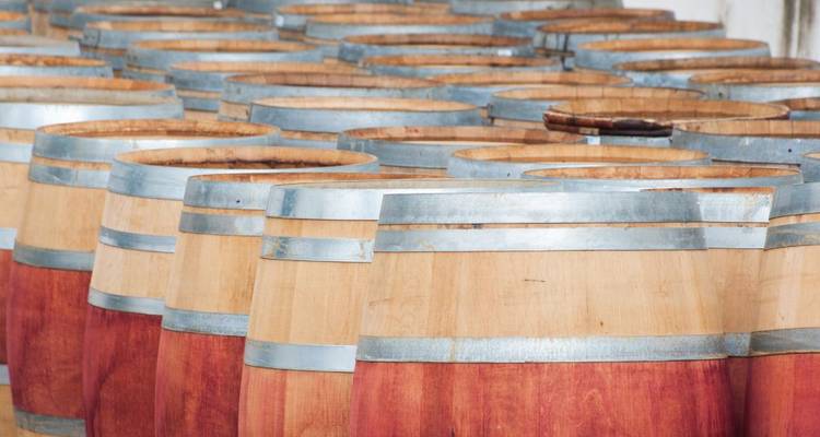 1 jour - Stellenbosch Wine & Cheese Tour - Knap Tours Limited 6