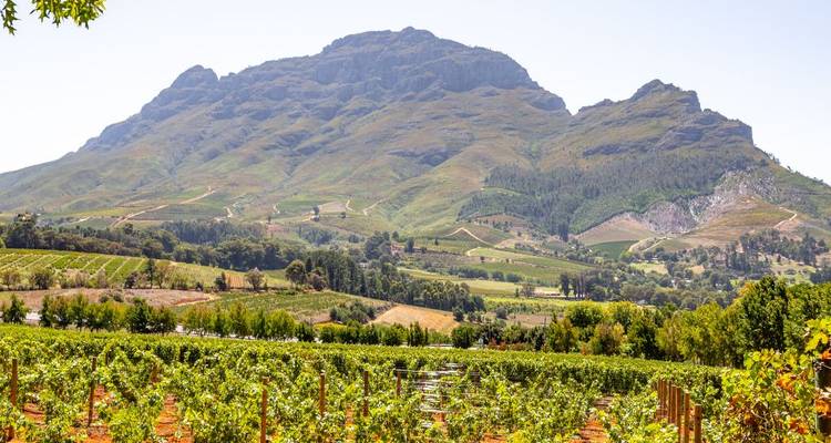 1 jour - Stellenbosch Wine & Cheese Tour - Knap Tours Limited 7