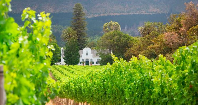 1 jour - Stellenbosch Wine & Cheese Tour - Knap Tours Limited 8