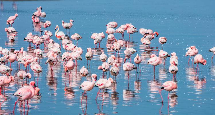 1 Día - Aventura Marina en Swakopmund y Walvis Bay - Knap Tours Limited 1