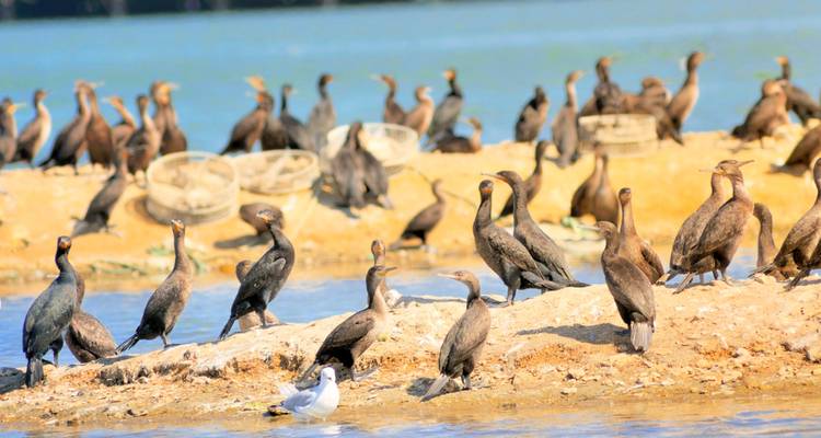 1 Día - Aventura Marina en Swakopmund y Walvis Bay - Knap Tours Limited 2
