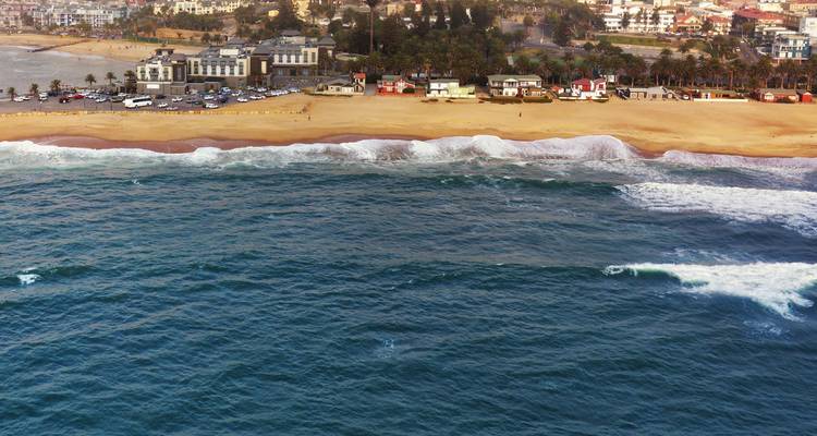 1 Día - Aventura Marina en Swakopmund y Walvis Bay - Knap Tours Limited 4