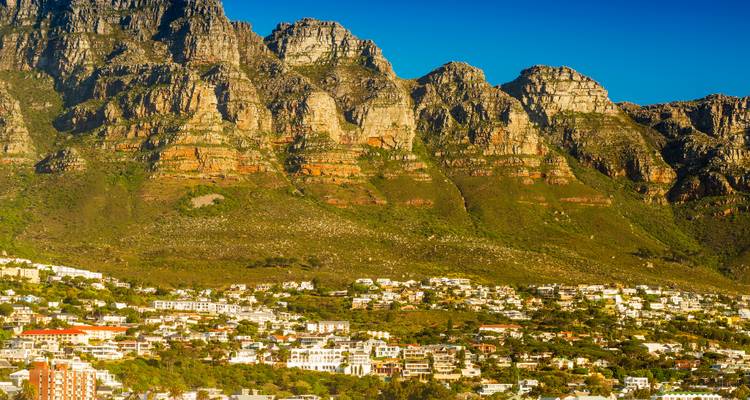 1 jour - Tour de la Montagne de la Table et de Robben Island - Knap Tours Limited 2