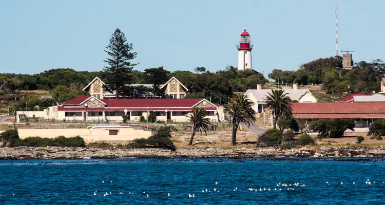 1 jour - Tour de la Montagne de la Table et de Robben Island - Knap Tours Limited 4