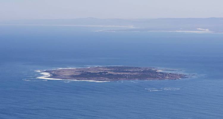 1 jour - Tour de la Montagne de la Table et de Robben Island - Knap Tours Limited 7