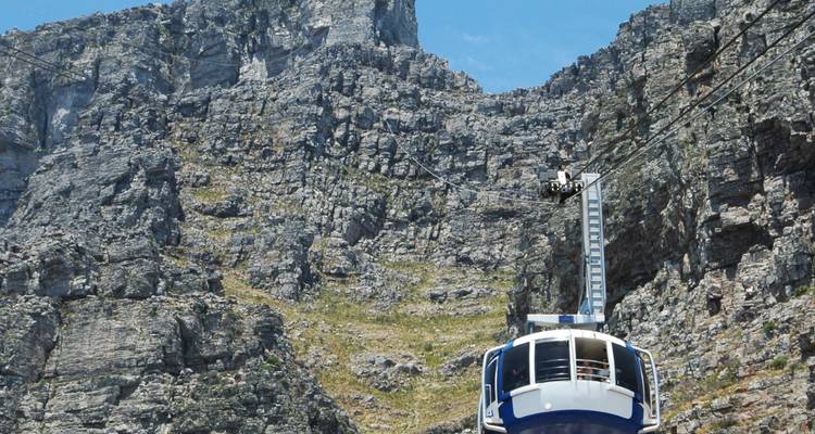 1 jour - Tour de la Montagne de la Table et de Robben Island - Knap Tours Limited 9