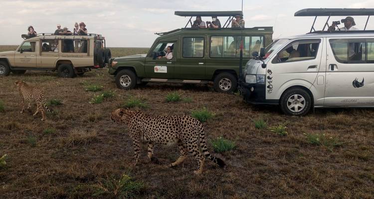 Lujoso Circuito de Golf y Safari por Kenia 10 Días/ 09 Noches - Across Africa Tours & Travel 5