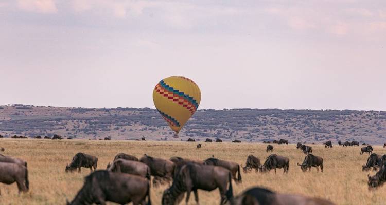 Lujoso Circuito de Golf y Safari por Kenia 10 Días/ 09 Noches - Across Africa Tours & Travel 6