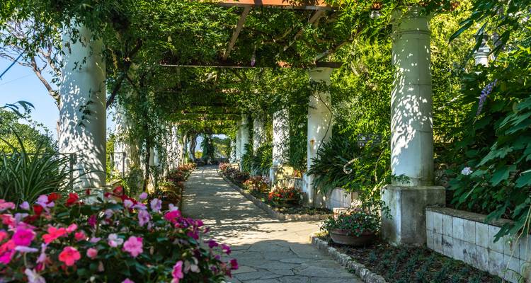 Highlights of Capri, Pompeii & Amalfi Coast - 5 Days - Click Tours 6