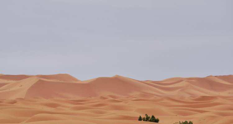 La grande expédition du Sahara : De Casablanca à Dakhla Maroc - Discover Morocco Tours 4