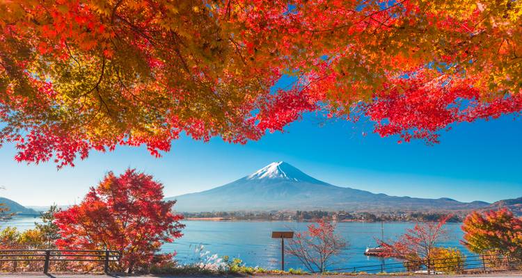 Berg Fuji gezien over een meer omlijst door rode herfstbladeren.