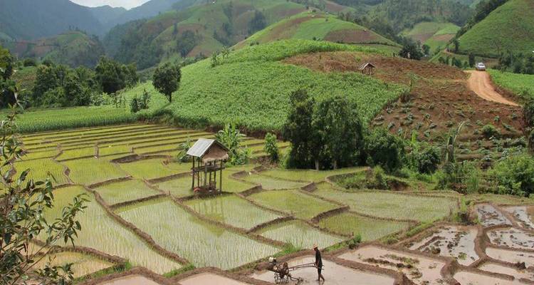 Chiang Rai trekking 3 days/2 nights - Open Asia Travel  8