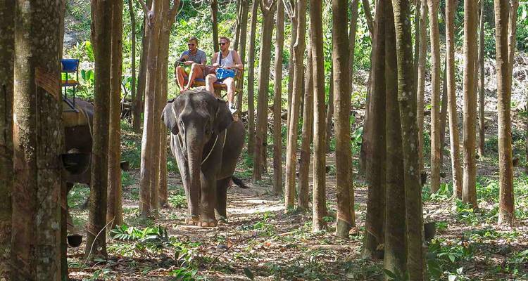 Deux hommes chevauchant un éléphant sur un sentier forestier.