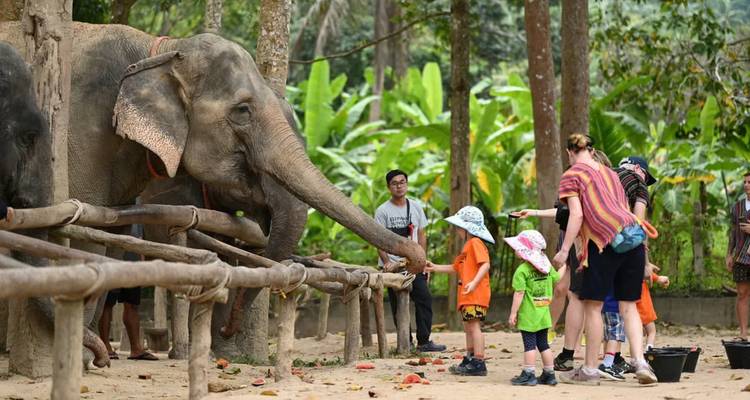 Essence of Thailand: 9-Day Tour from Bangkok to Chiang Mai via Ayutthaya & Kanchanaburi - Open Asia Travel  8