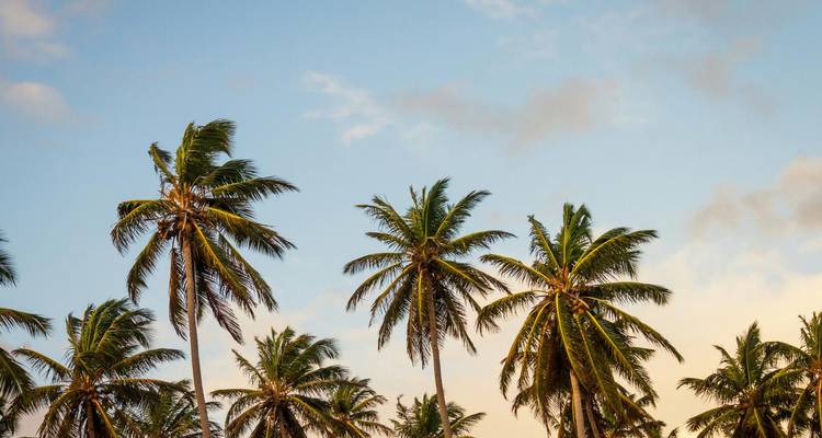 Florida Sunshine: From Miami to Key West - Omega Tours 4