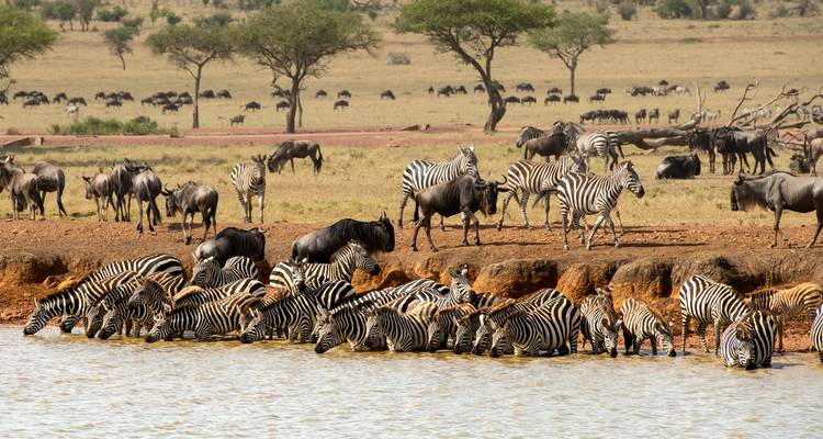 Tanzania Golf & Safari Luxury Experience 10 Days/09 Nights - Across Africa Tours & Travel 4
