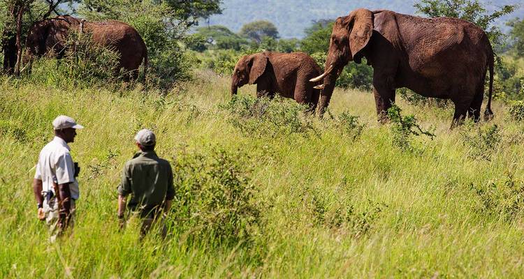 Tanzania Golf & Safari Luxury Experience 10 Days/09 Nights - Across Africa Tours & Travel 8