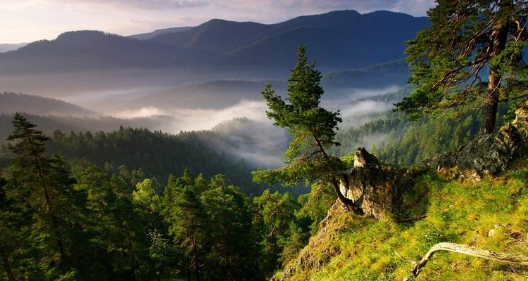 Vacances de randonnée modérée en Slovaquie - 7 nuits - 3 parcs nationaux - Tatra Escapes 9