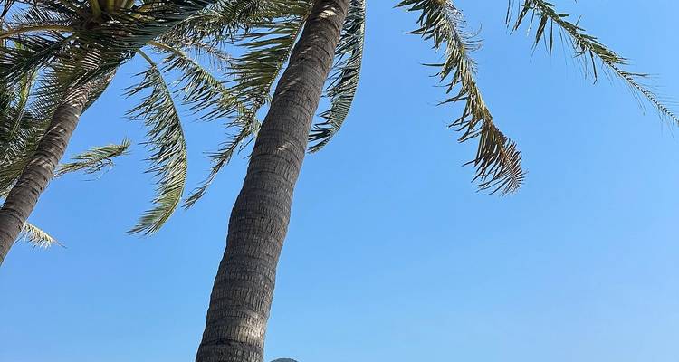 Vietnam Middle Part Adventure 5 jours 4 nuits Exploring Hue- Imperial Citadel- Thien Mu river- Khai Dinh Tomb- Da Nang- Motorbike Street Food - Go Asia Travel 6