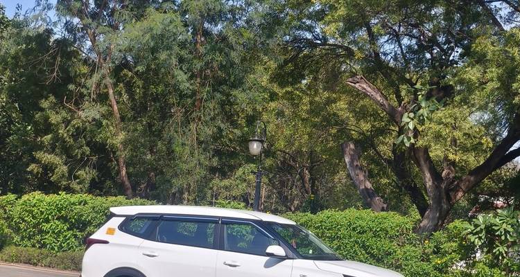 Einfache Aufnahme eines weißen SUVs, der an einem sonnigen Tag vor dichtem grünem Laub geparkt ist.