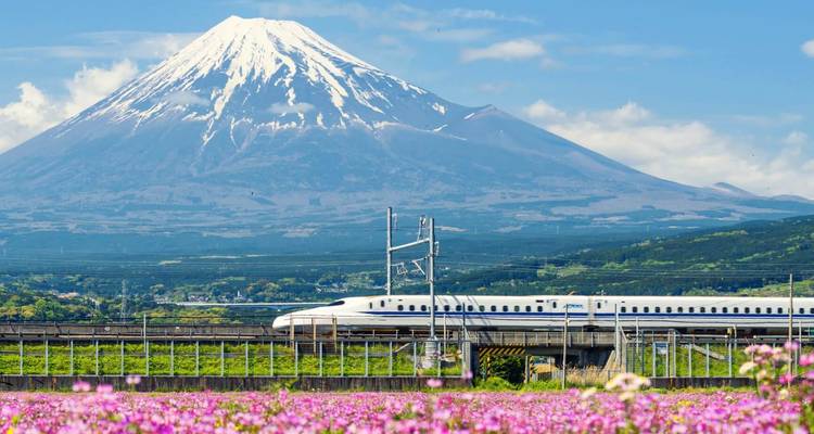 Descubre Japón con Hiroshima 2026 - Tomato Travel 6