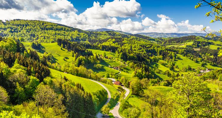 Highlights of Europe (classique, toutes saisons, début Londres, fin Paris, 15 jours) - Insight Vacations 7