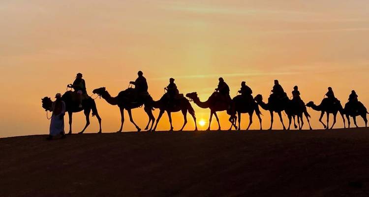 Silhouet van kamelen en mensen bij zonsondergang op duinen.