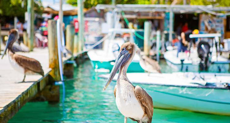 Roadtrip en Floride : l'autoroute outre-mer rencontre Miami Heat - journaway 2