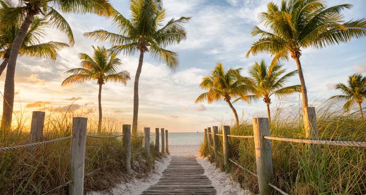 Roadtrip en Floride : l'autoroute outre-mer rencontre Miami Heat - journaway 9