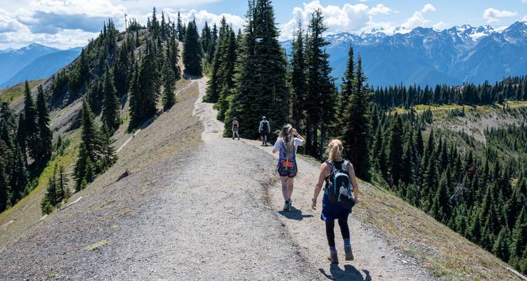 Roadtrip à Washington : Seattle Sights & Olympic Mountains - journaway 3