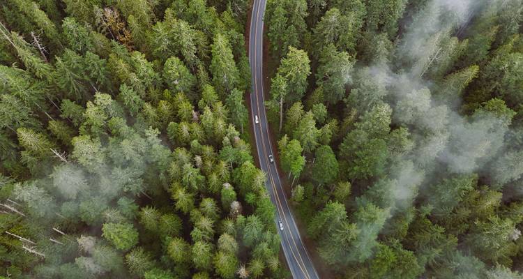 Roadtrip à Washington : Seattle Sights & Olympic Mountains - journaway 7