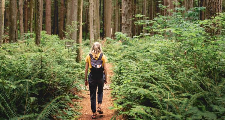 Roadtrip à Washington : Seattle Sights & Olympic Mountains - journaway 9