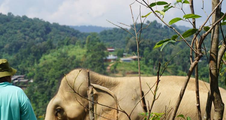 11-Day Thailand Family Tour - The Dragon Trip 1
