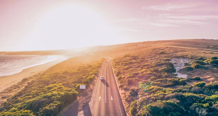 Viaje por carretera al sur de Australia: la Gran Carretera Oceánica y los simpáticos koalas (including Parque Nacional de los Grampians) - journaway 5