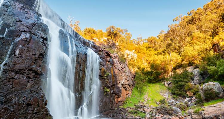 Viaje por carretera al sur de Australia: la Gran Carretera Oceánica y los simpáticos koalas (including Parque Nacional de los Grampians) - journaway 6