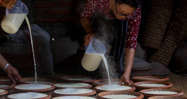 Nepal tour 8 days tour: Group Departure - Luxury Holidays Nepal Pvt. Ltd 7