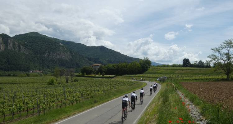 Vignobles et glaciers ! - Road Bike Tours Italy 2
