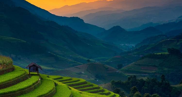 Rizières en terrasses au coucher du soleil avec des montagnes en arrière-plan.