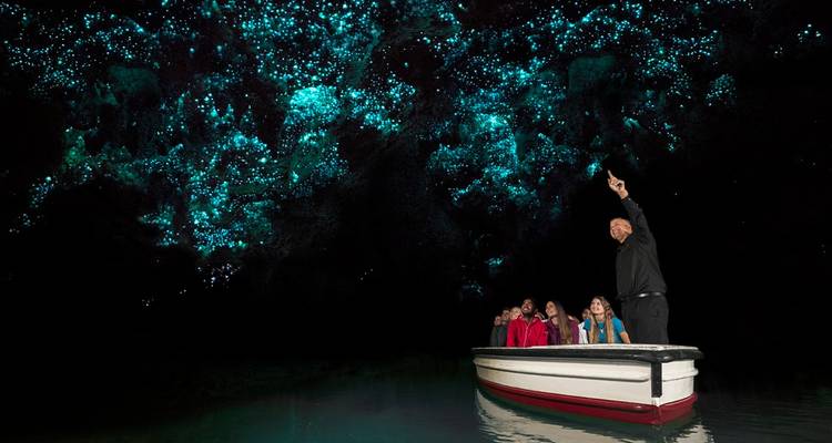 New Zealand Northern Trail (Northbound) (12 destinations) - Intrepid Travel 4