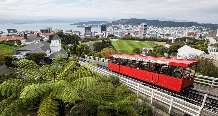 New Zealand Northern Trail (Northbound) (12 destinations) - Intrepid Travel 7