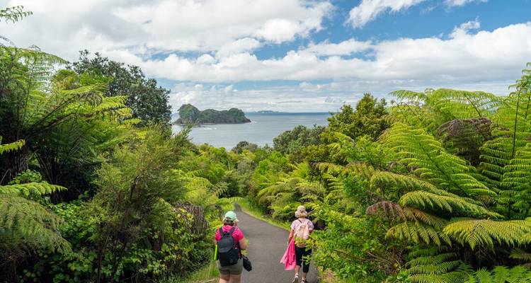 Wanderer, die einen üppigen, von Farnen gesäumten Weg hinuntergehen, mit Blick auf die Küste der Coromandel-Halbinsel.