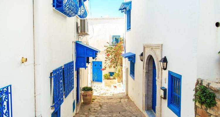 La côte tunisienne et l'ancienne Carthage en été - Explore! 6