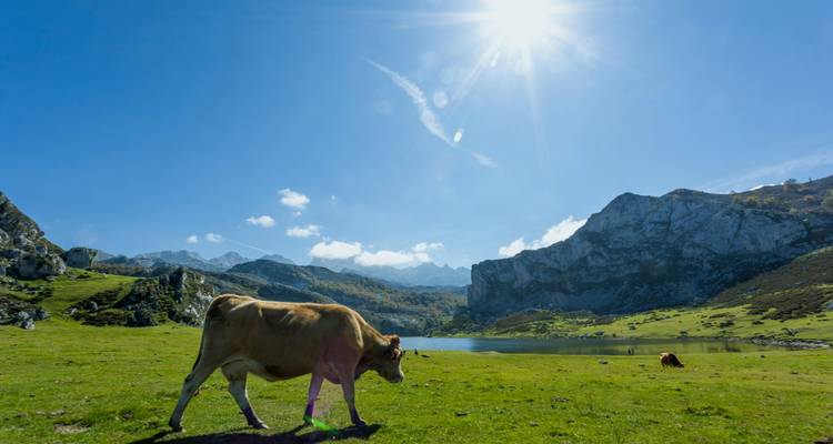 Haz senderismo por los Picos de Europa - Exodus Adventure Travels 2