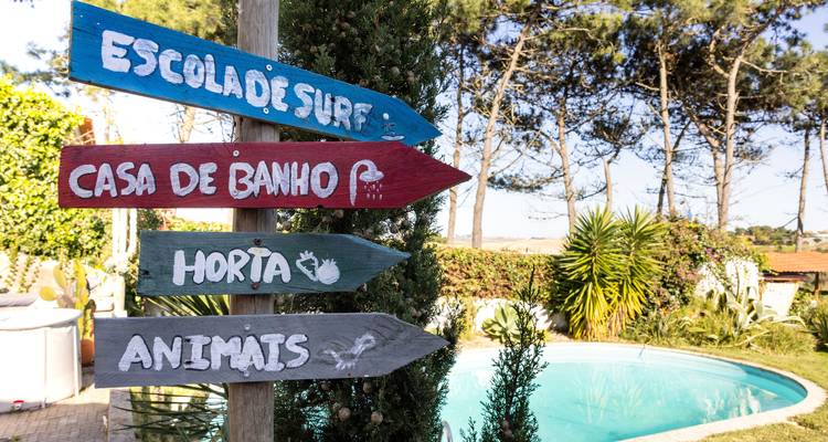 Campamento de surf de Santa Cruz - Stoke Travel 4