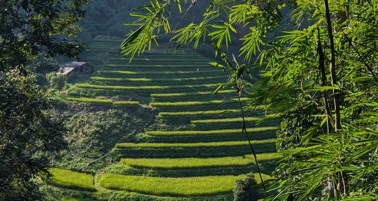 Viaje familiar de 15 días a Tailandia y Camboya - The Dragon Trip 4