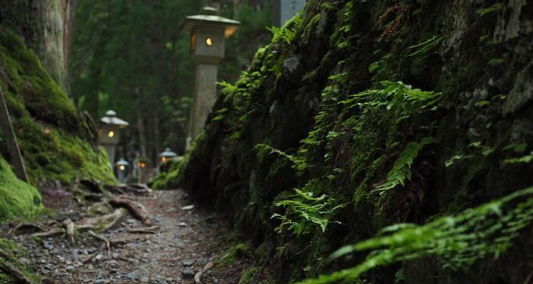 Japan: Koya-san & Kumano Kodo Trek (including Kumano) - Intrepid Travel 5